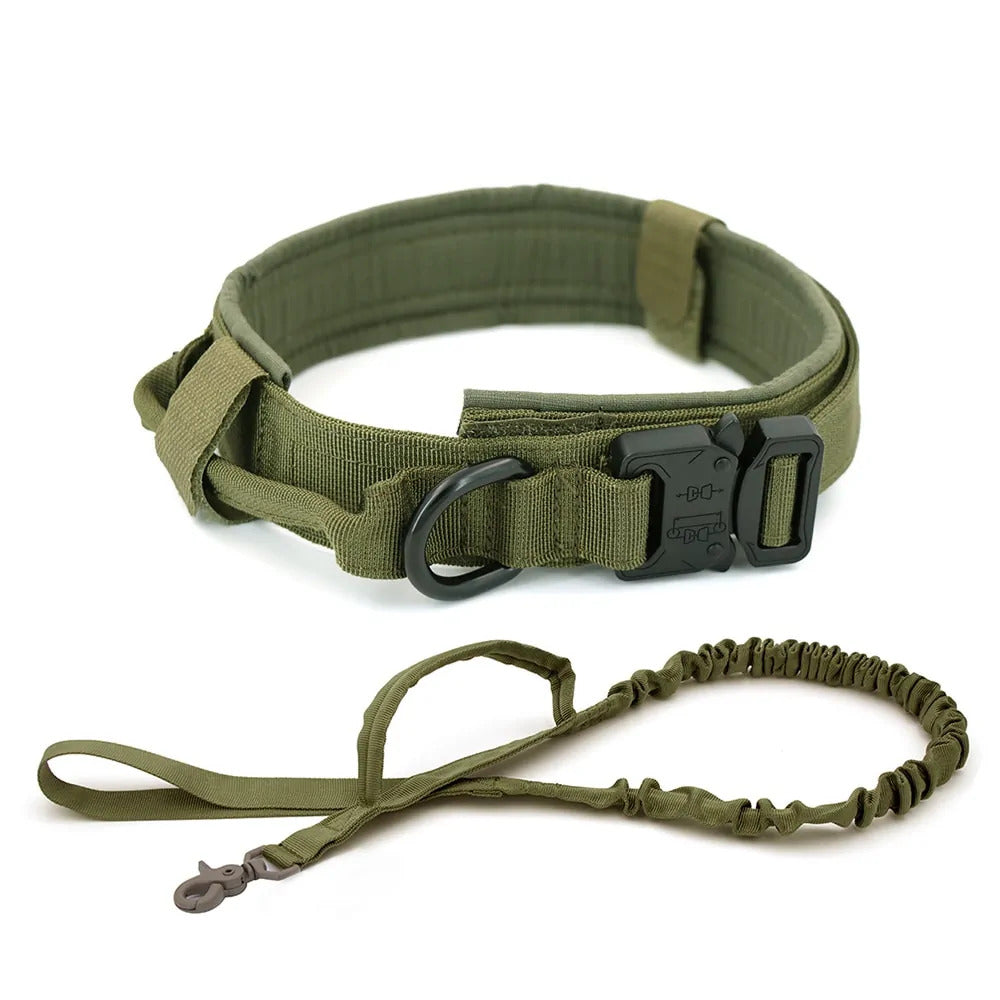 Tracking collar
