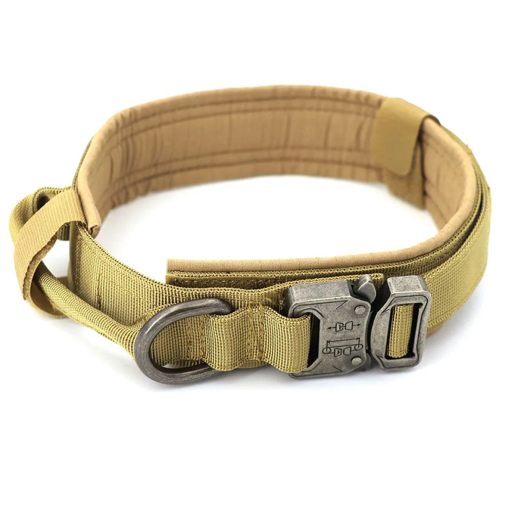 Tracking collar
