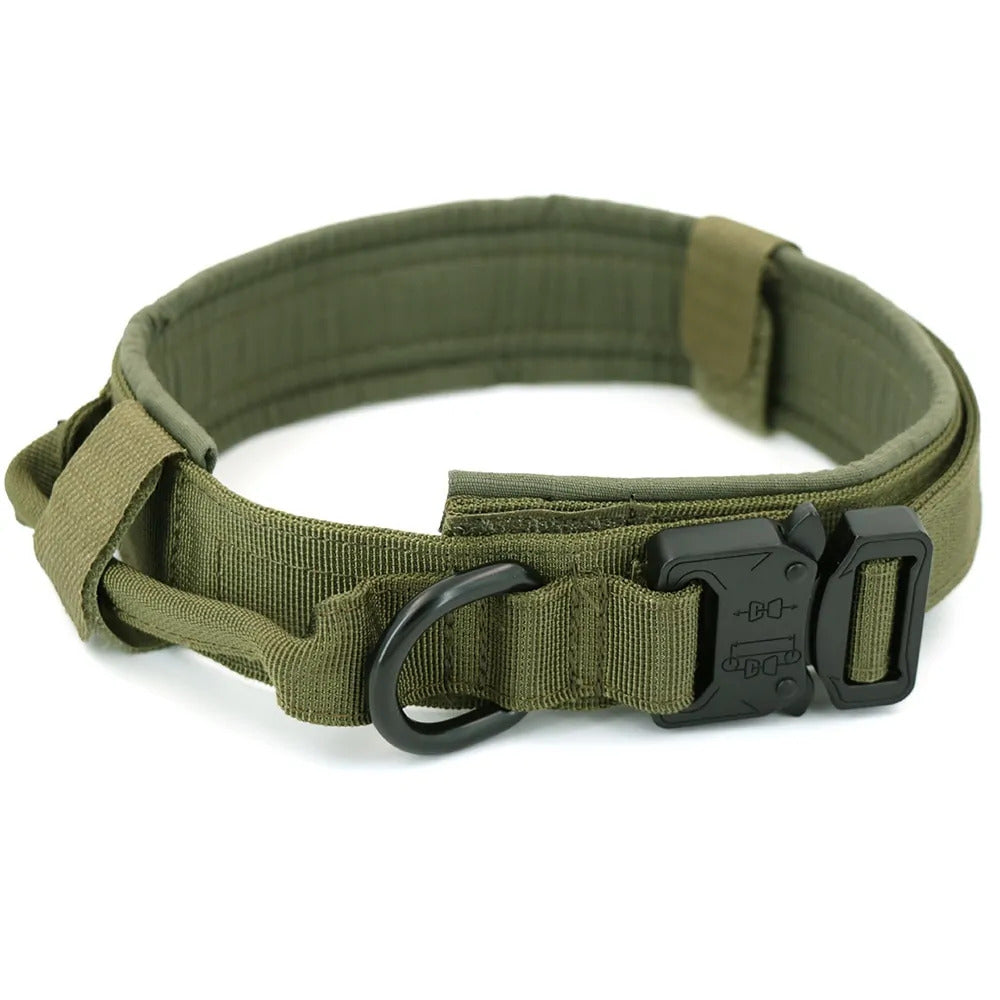Tracking collar