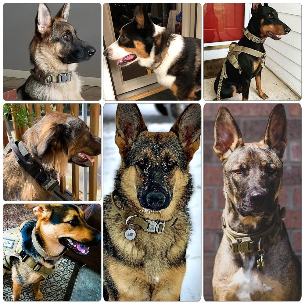 Tracking collar