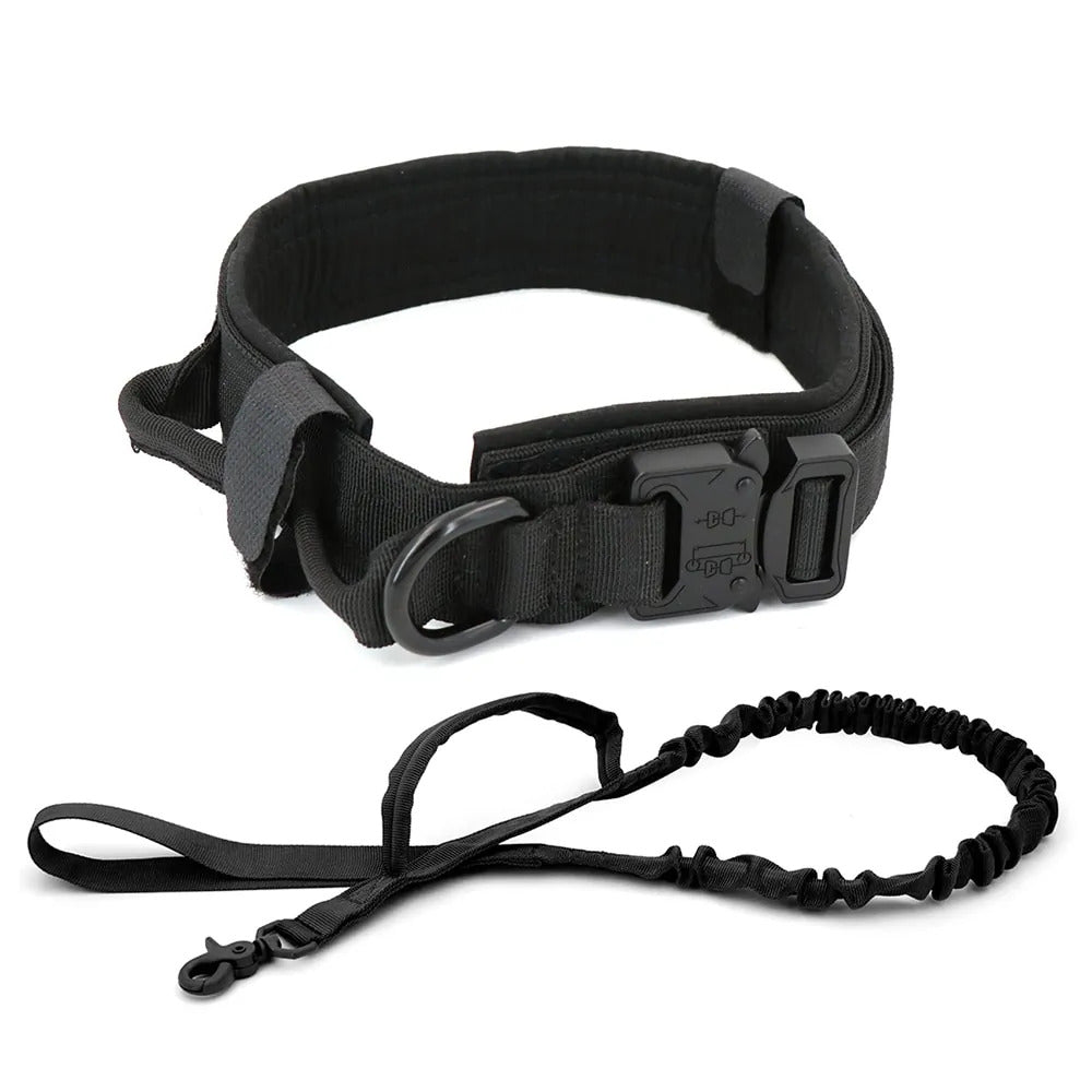 Tracking collar