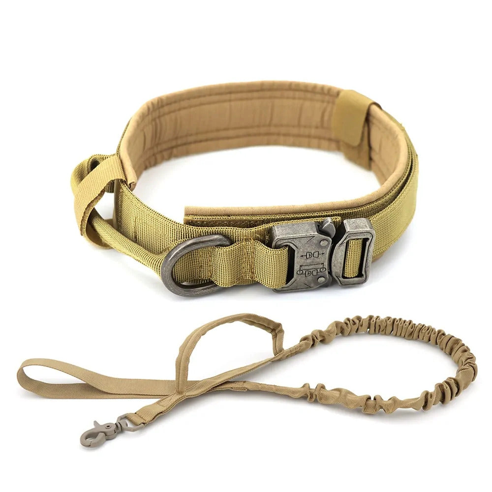 Tracking collar