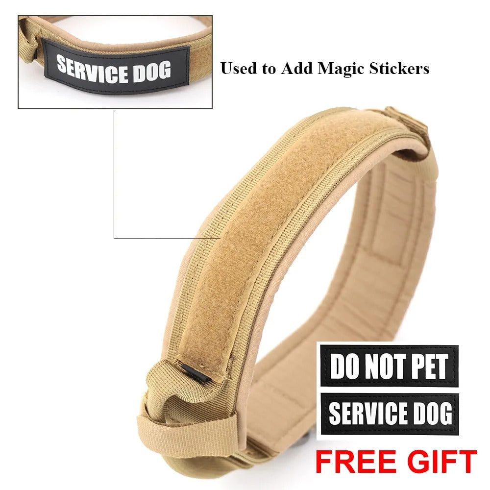 Tracking collar