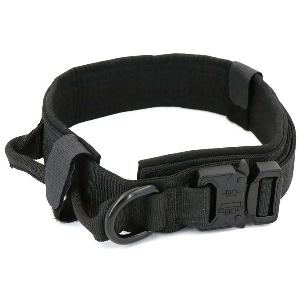Tracking collar