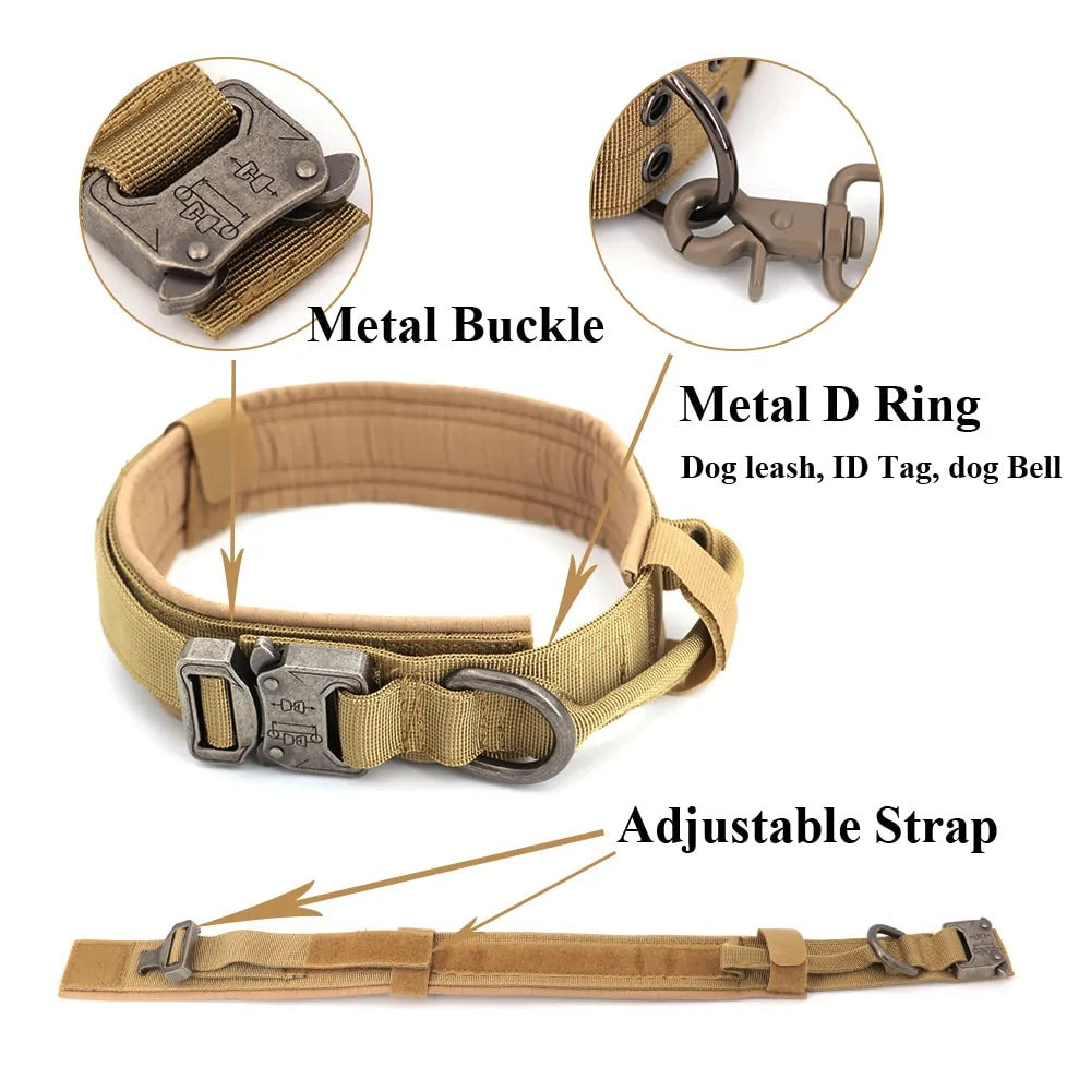 Tracking collar
