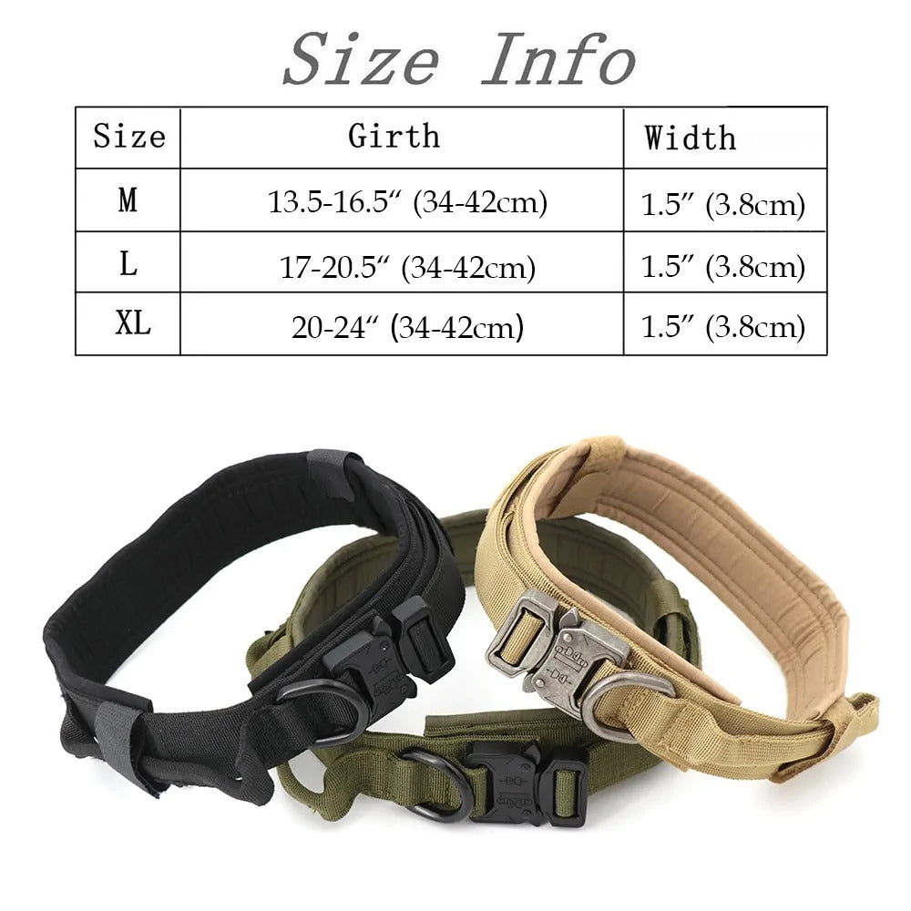 Tracking collar