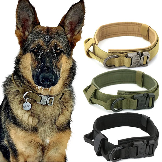 Tracking collar