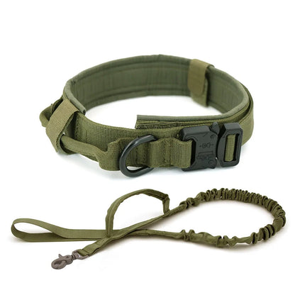 Tracking collar