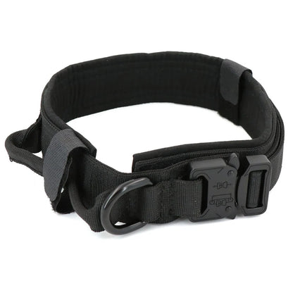 Tracking collar